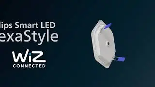 Wiz HexaStyle V8.31