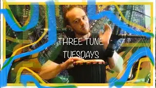 Reggae Instrumental on Melodica, Guitar and Djembe - Loop Pedal #music #musician #originalmusic