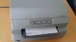 Cara Test Print Manual  printer Epson PLQ 20
