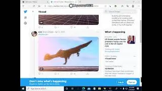dinosaur simulator new butterfly dilophosaurus skin