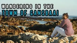 EXPLORING GANSBAAI, SOUTH AFRICA