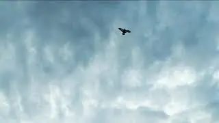 Воздушный змей высоко взлетел