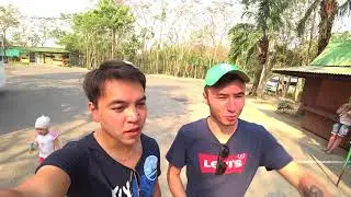 Кокшевидеограм - Тайские каникулы #5