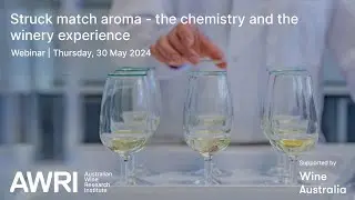 Struck match aroma - the chemistry and the winery experience