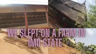 We Spent The Night in Odimara Farms Umuawuaka Emekuku -Full Tour -Imo State Travel Vlog