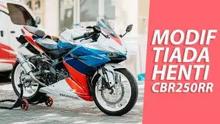 The Best Quickshifter? Translogic QSX Quickshifter - Honda CBR250RR 