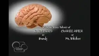 Brandy & Mr. Whiskers Credits (Latin America and Brazil Versions)