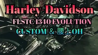Harley-Davidson FLSTC 1340  腰上オーバーホール