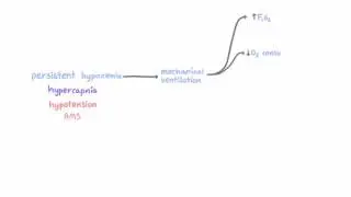 Mechanical ventilation - indications and risks