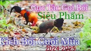 Siêu Phẩm • Kích Bôỉ • Tiếng Gà Mái • Cục Tác • Cuối Mùa • Siêu Nhậy 2024