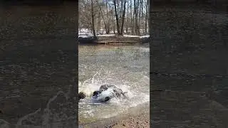 Traxxas Summit Swimming #rc #rccars #traxxas #traxxassummit