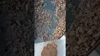 Щепа