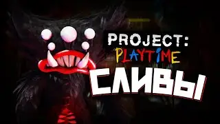 Когда новый режим в PROJECT: PLAYTIME (утечки)