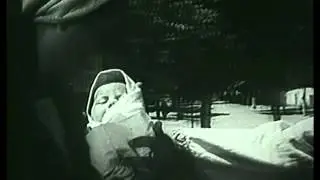 Фан видео 