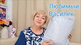 Любимый Василек с примеркой и подарками/ Ивановский текстиль 