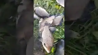 РЫБАЛКА 👍