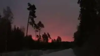 28.12.2023 Лес около г. Огре