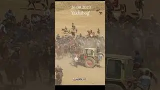 Dilmurod raist Dilfin oti b n Suroch polvon #horse #kopkari #яккабоғ #shahrisabz #alochi