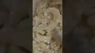 Wheel Cheese Pasta in Berlin 