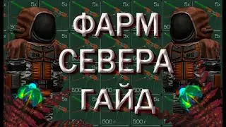 ГАЙД ПО ФАРМУ СЕВЕРА ДЛЯ РАБОТЯГ || Stalcraft