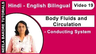 Body Fluids and Circulation (Bilingual) | NEET | Conducting System | Neela Bakore Tutorials
