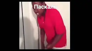 Языки программирования би лайк: