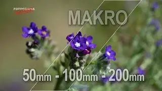 🚩 Obiektyw do makro fotografii - Fotografia jest Fajna