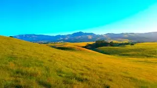 12 Hour Relaxation Nature Video Music by Liquid Mind