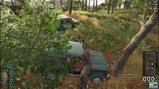 Goodbye car