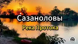 Рыбалка Краснодарский край , река Протока, 3 ночи, район Ачуево , дикий сазан , сом, карась, баня.