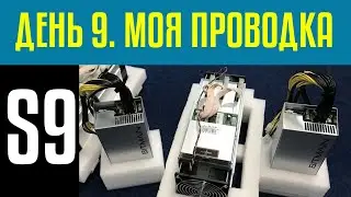 Асики день 9 ый. Запитал 2 асика от одной розетки. Чищу асики.