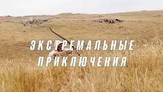 Квест-тур. Хранители. Сердце Арамазда