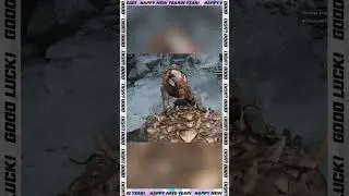 кинкорг