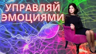 Методы управления эмоциями. Как избавиться от страха и тревоги?