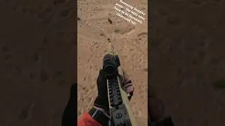 Benelli M4 aerial shooting invasive pests. 