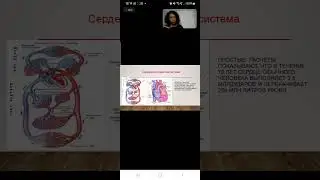Уникальные капсулы сьючинфу.