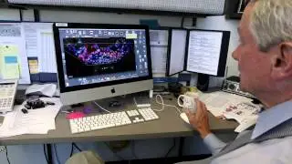 Cincinnati Medical Scientist Training Program