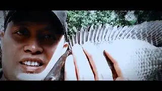 Mancing Liaran Di Semak Semak Kota Jakarta