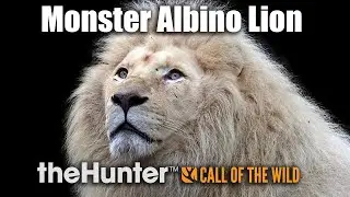 Monster Albino Lion | theHunter Call Of The Wild
