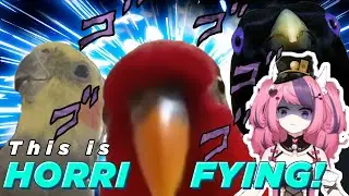 Ironmouse Reacts To Your Videos #6 (Birds)