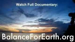 TRAILER: Protecting The Indian River Lagoon & Florida's Water Quality Documentary (HD)