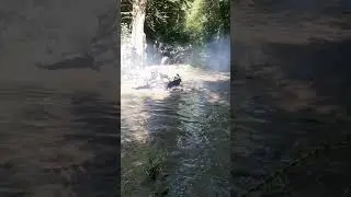квадро соревнования по Рязанью