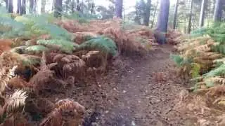 4K Adventures - Aldershot Military Grounds