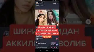 SHIRIN FARGONA VS ZOHAA