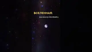 21 июня 2024 г.