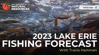 2023 Lake Erie Fishing Forecast with Travis Hartman