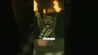 Which floor is dangerous for a cat to live on