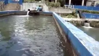 Pescando con las manos parte 2