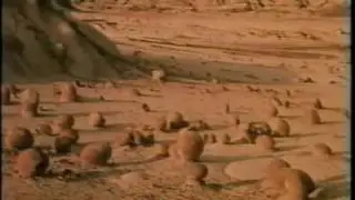 Stevie Wonder commercial back in 1983, part 2