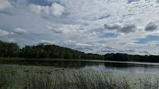 Coddiwomple [short]